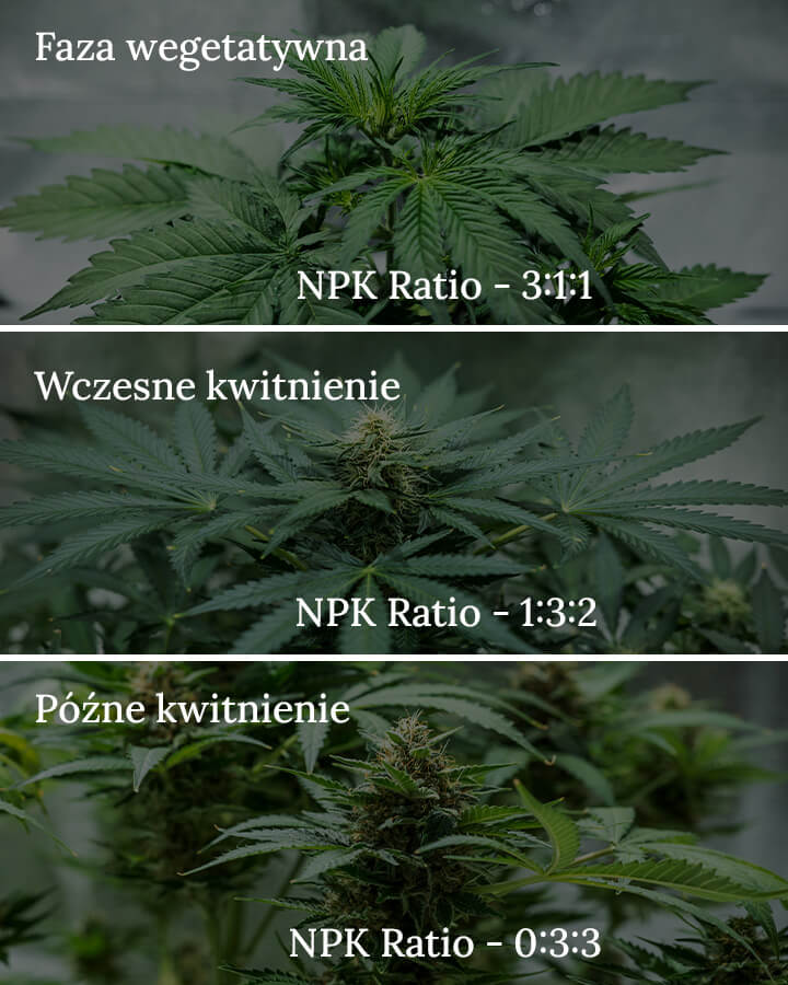 NPK ratio in cannabis