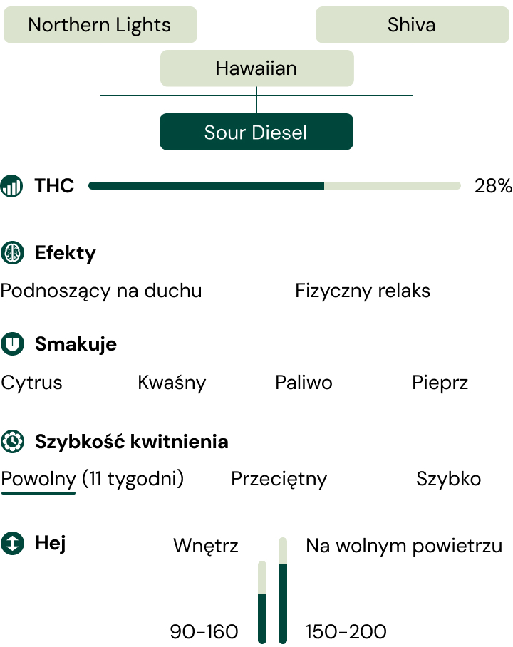 Sour Diesel Characteristics