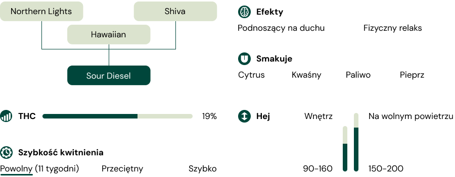 Sour Diesel Characteristics