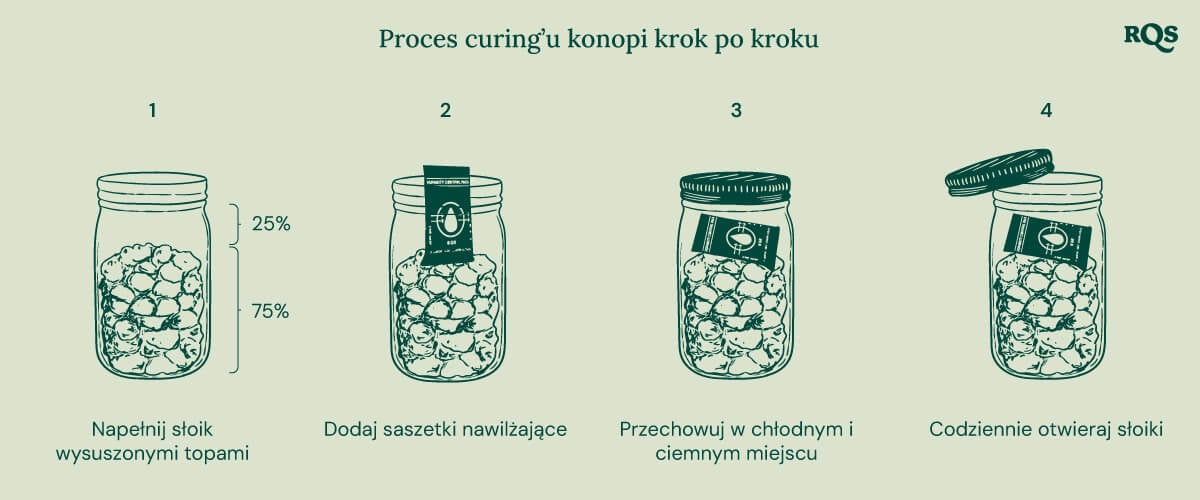 Cztery kroki do prawidłowego utwardzania konopi. 1: Napełnij słoik suszonymi pąkami (75%). 2: Dodaj pakiety regulujące wilgotność. 3: Przechowuj słoik w chłodnym, ciemnym miejscu. 4: Codziennie otwieraj słoik w celu wentylacji.