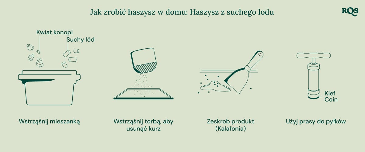 Ilustracja biointenzivního zahradničení, která znázorňuje maximální produktivitu, zdravější rostliny, silné palice, doprovodné výsadby, hluboké obdělávání půdy a zlepšenou kvalitu půdy.