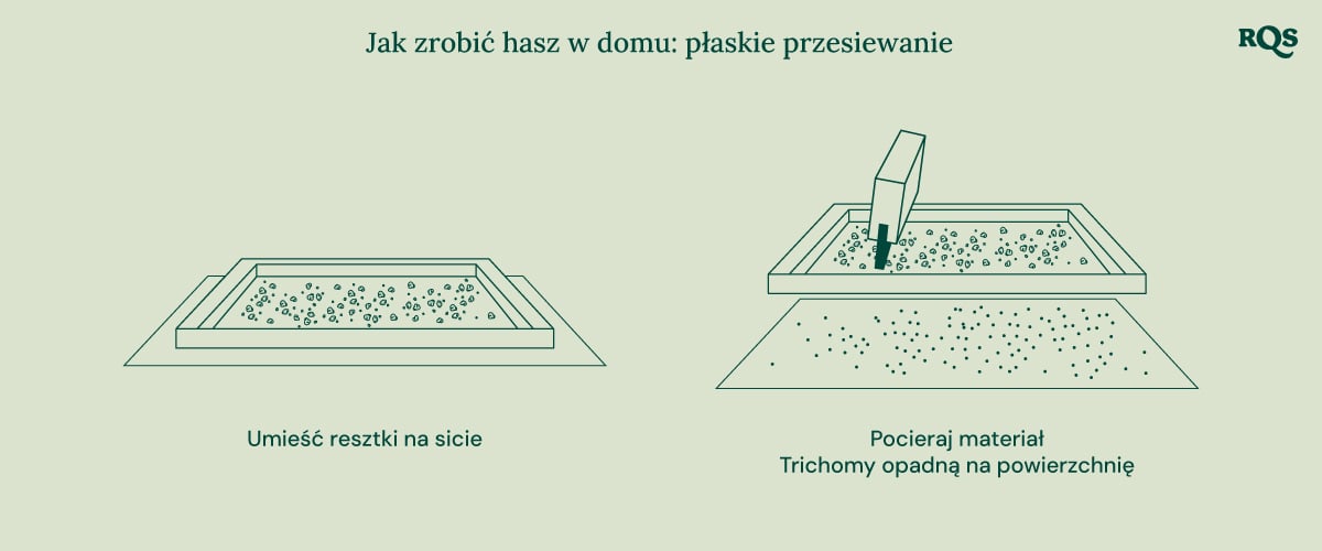 Ilustracja biointensywnej uprawy roślin, przedstawiająca maksymalną produktywność, zdrowsze rośliny, mocne pąki, uprawę współrzędną, głęboką uprawę gleby i poprawę jakości gleby.