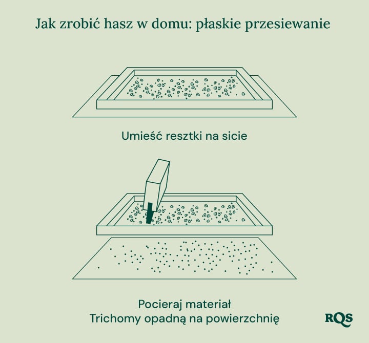 Ilustracja biointensywnej uprawy roślin, przedstawiająca maksymalną produktywność, zdrowsze rośliny, mocne pąki, uprawę współrzędną, głęboką uprawę gleby i poprawę jakości gleby.