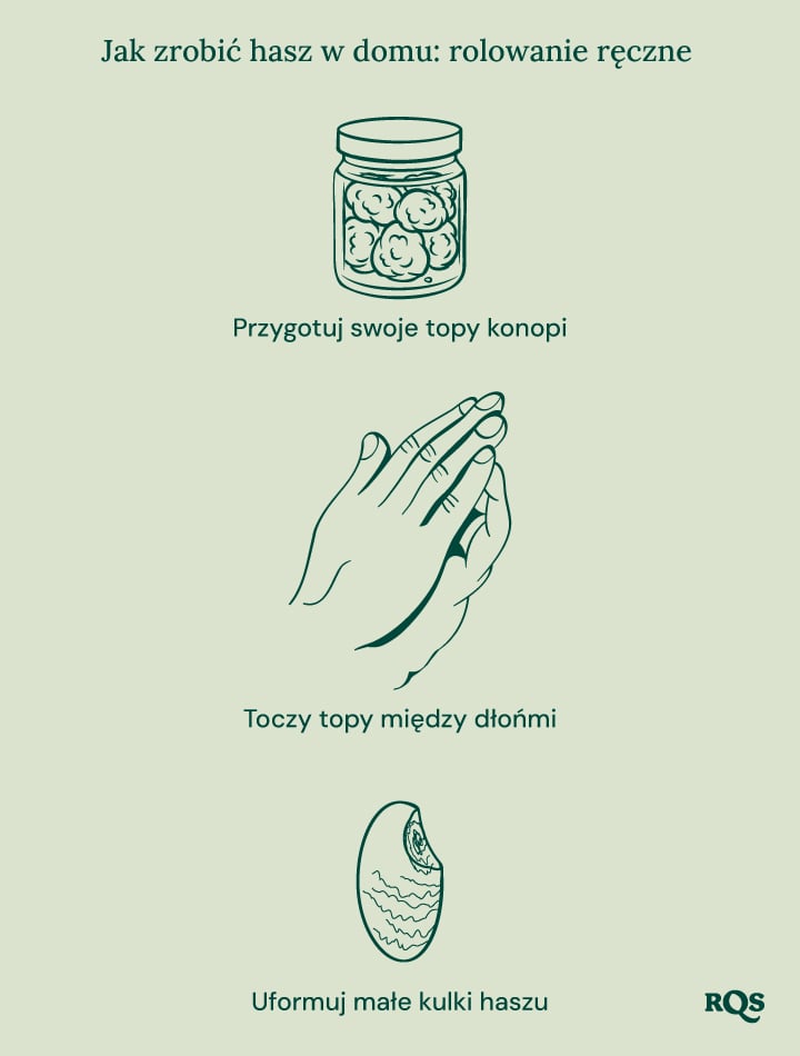 Ilustracja biointensywnej uprawy roślin, przedstawiająca maksymalną produktywność, zdrowsze rośliny, mocne pąki, uprawę współrzędną, głęboką uprawę gleby i poprawę jakości gleby.